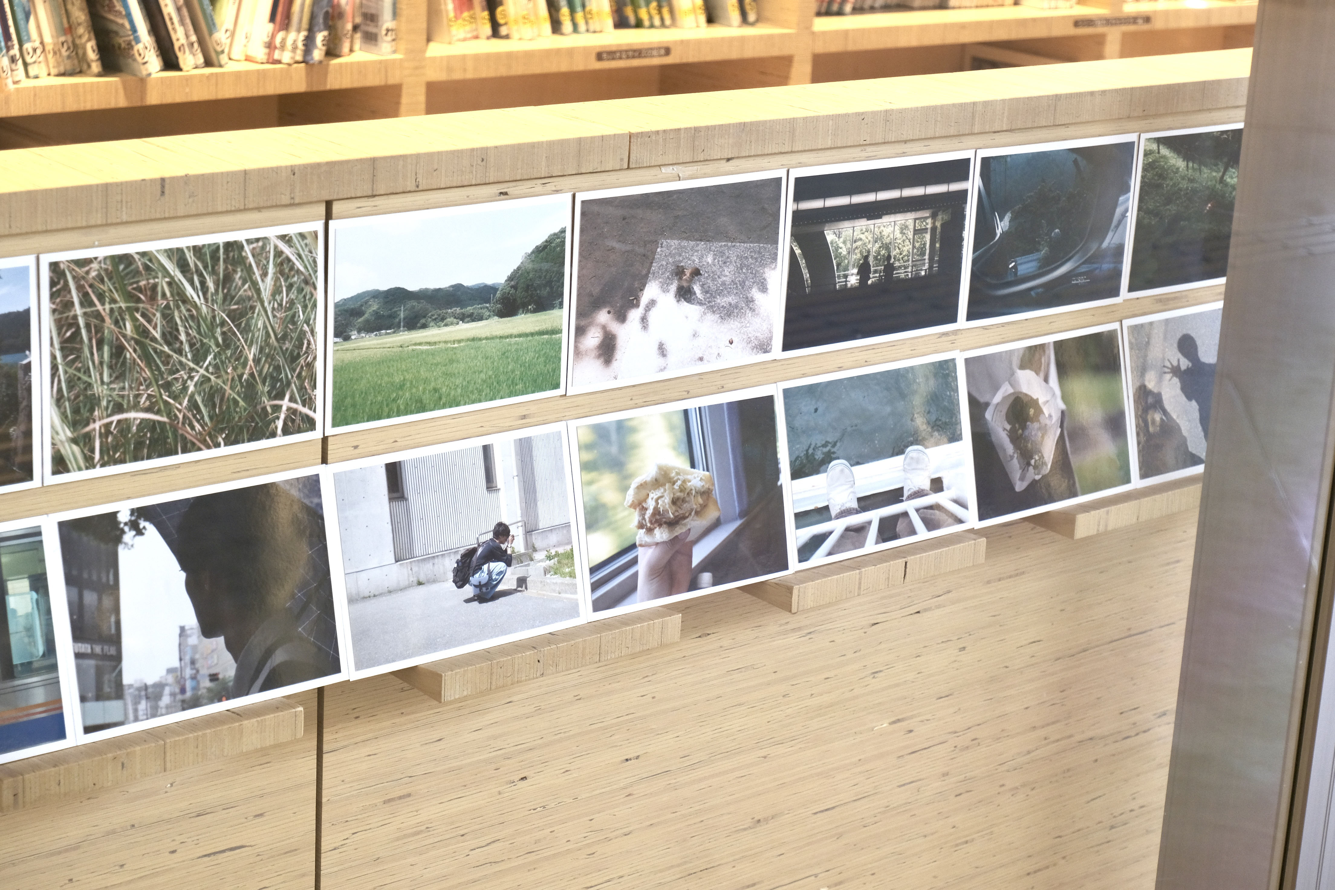展示の様子